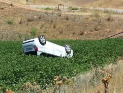Çınar'da köpeğe çarpmamaya çalışan otomobil takla attı