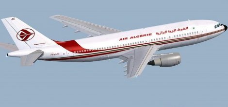 Cezayir yolcu uçağı düştü