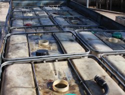 Gaziantep'te 12 bin litre gümrük kaçağı akaryakıt ele geçirildi