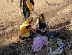 Siverek'te otomobil şarampole uçtu: 4 Ölü