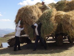 Dağ köylerinde kış hazırlıkları başladı