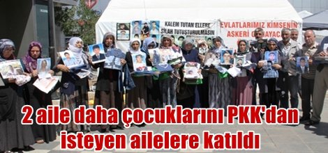 Diyarbakır'da 2 aile daha çocuklarını PKK'dan isteyen ailelere katıldı