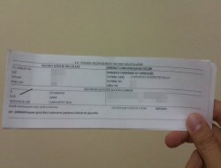 Seçmen bilgi kâğıdı Çınar'da adreslere gönderildi