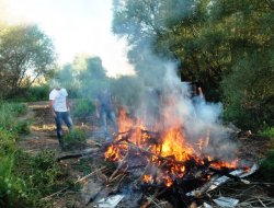 Diyarbakır'da uyuşturucu baskınları