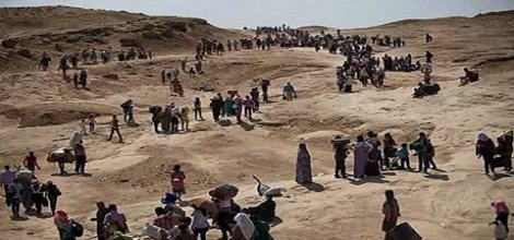 Peşmerge 11 bin Ezidi’yi kurtardı