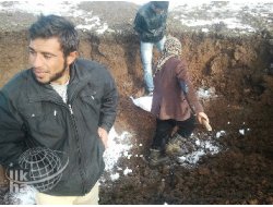 Çınar'da Kuduz Paniği