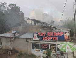 Van'da çıkan yangın korkuttu