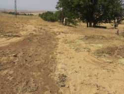 Kozluk'ta sağanak yağış 30 ton buğdayı götürdü