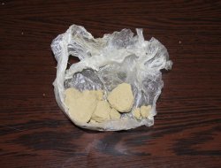 İnternet kafede uyuşturucu satarken suçüstü yakalandı