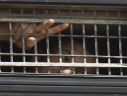 Siyonîst Îsraîl, Telebên Mehkûmên Filîstînî Qebûl Kirin