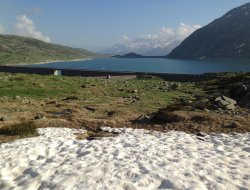 Alp dağlarında karlar hızla eriyor