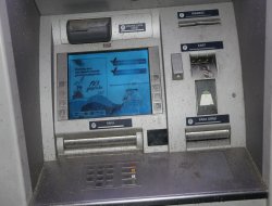 Bankamatiklerde sivrisinek istilası