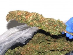 Gaziantep'te Esrar ele geçirildi