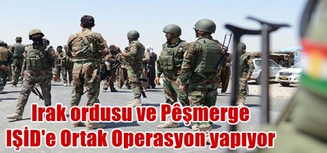Irak ordusu ve Peşmergeden IŞİD'e Ortak Operasyon