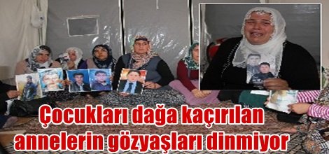 Çocukları dağa kaçırılan annelerin gözyaşları dinmiyor