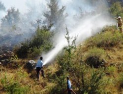Bitlis'te orman yangını