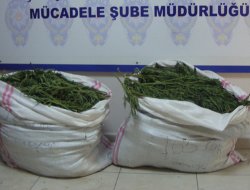 Muş'ta uyuşturucu ele geçirildi