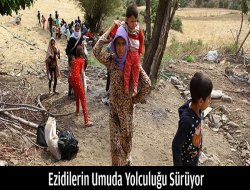 Ezidilerin Umuda Yolculuğu Sürüyor