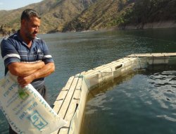 Çermik'te balık işletmecileri zor durumda