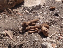 İdil'de insan kemikleri bulundu