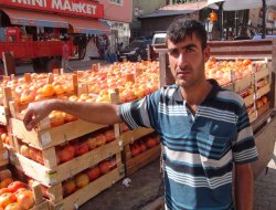 "Domateslerimiz tarlada zayi oluyor"