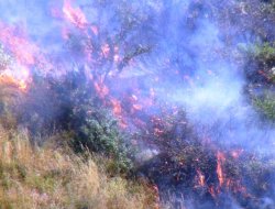 Çıkan yangın mahalle sakinlerini korkuttu