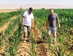 Elektrik kesintisi verim kaybına sebep oluyor