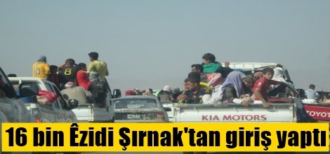 16 bin Yezidi Şırnak'tan giriş yaptı