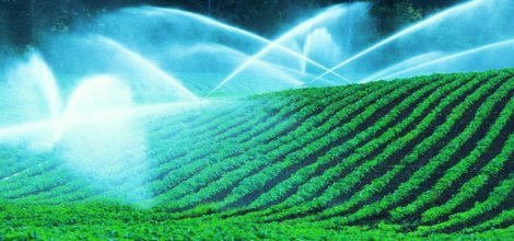 Elektrik Borcu Olan Çiftçiye Destek Yok