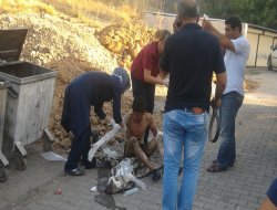 Çınar'da klima patladı: 1 yaralı