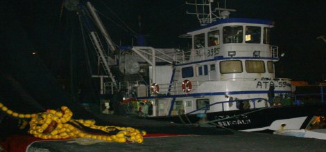 Balıkçılık av sezonu yarın sona eriyor