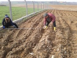 Toprak analiz süresi uzatıldı