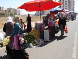 Diyarbakır'da gezici kadın pazarı kuruldu
