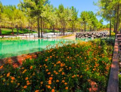 Dülük Tabiat Parkı'nda bitki cümbüşü