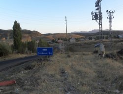 Hırsızlar 41 büyükbaş hayvanı çaldı