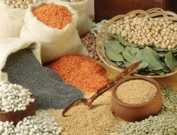 "Pirinç ve fasulyede fiyat düşüşü yüzde 30'u geçecek"