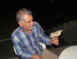 Karayolları bahçesinde bulunan kuş ilgi odağı oldu