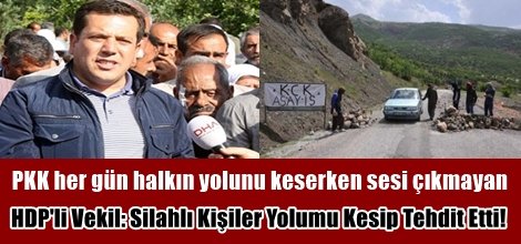 HDP'li Vekil: Silahlı Kişiler Yolumu Kesip Tehdit Etti!