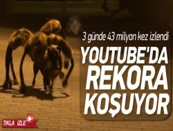 İnsan yiyen dev örümcek!