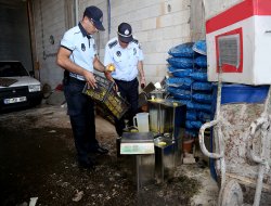 Gaziantep'te sahte zeytinyağı baskını
