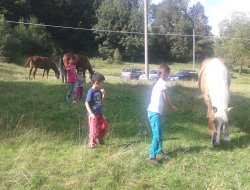 İtalya'da at çiftlikleri artıyor