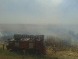 Biçilmemiş mısır tarlasında yangın çıktı