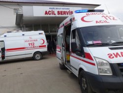 Bingöl'de kaza: 2 yaralı