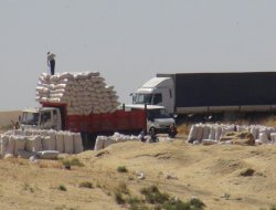 Batı illerine saman ihracatı sürüyor