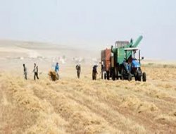 Tarımda üretici fiyatları arttı