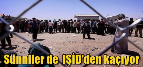 Sünniler de IŞİD'den kaçıyor
