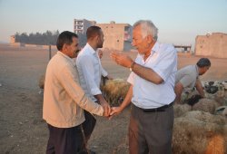 Kurbanlık piyasası canlanmaya başladı