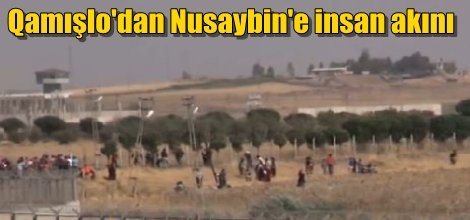 Kamışlo'dan Nusaybin'e insan akını