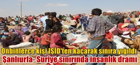 Şanlıurfa- Suriye sınırında insanlık dramı