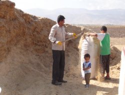 Saman fiyatları düştü ama müşteri yok